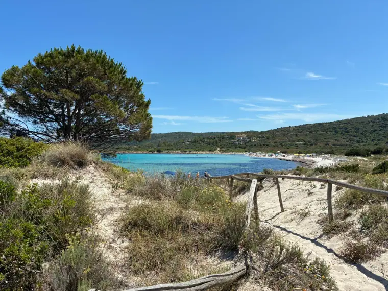 Spiaggia dell'Isuledda a San Teodoro tra pini e dune di sabbia